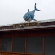 (Archie, MO) Scooter’s 1059th bar, first visited in 2014. We stopped by here not really knowing what to expect, and immediately enjoyed the large shark over the entrance. Inside is...