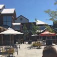 (Fort Collins, CO) Scooter’s 1273rd bar, first visited in 2018. Our first brewery for the Colorado portion on this trip. This is a huge facility, and was rather busy, and...