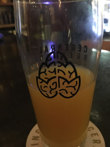 Cerebral Brewing, Denver