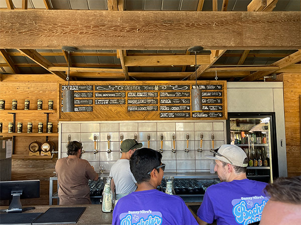 Jester King Brewery, Austin