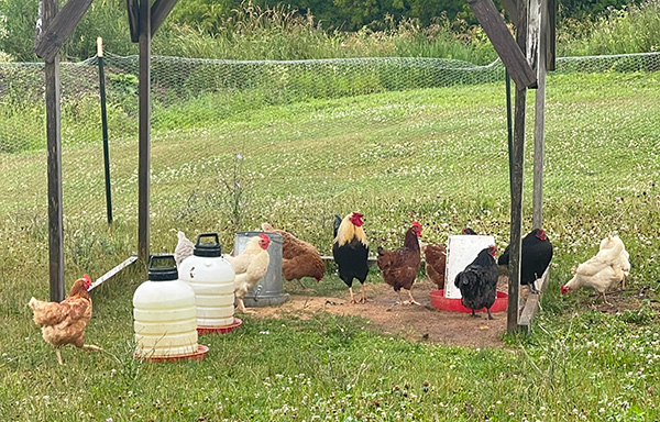 Bird Creek Farms, Port Austin