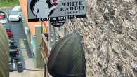 (Downtown, Eureka Springs, AR) Scooter’s 1837th bar, first visited in 2025. Missy’s White Rabbit is located in one of the staircase alleys, either one flight down or 2 flights up...