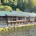 (Nantahala Outdoor Center, Bryson City, NC) Scooter’s 1840th bar, first visited in 2025. Cane here for dinner and drinks. Couldn’t sit at the bar due to it being a small...