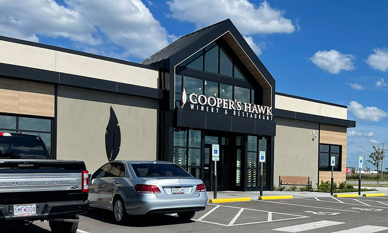 Cooper's Hawk, Kansas City